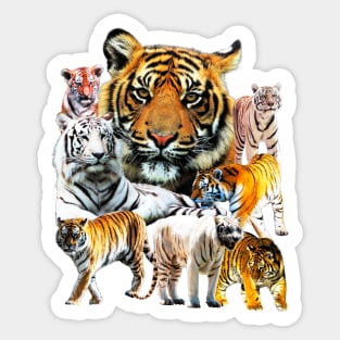 Very Awesome Tiger Tie Dye (Cool and Sick) Sticker